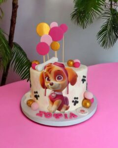 Τούρτα Sky Paw Patrol